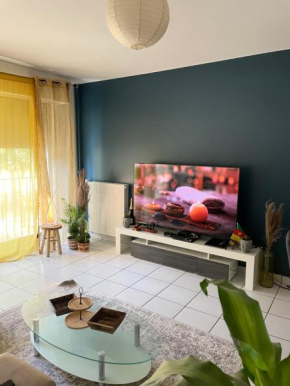 Appartement Spacieux Chaleureux